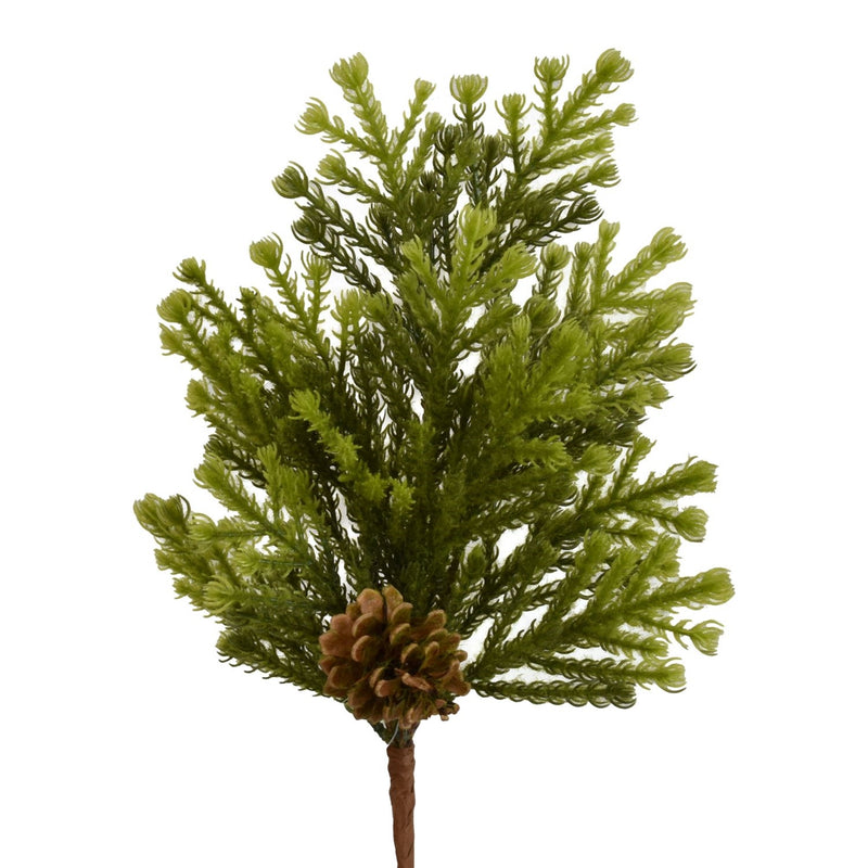 18” Norfolk Island Pine w/ Cones Spray