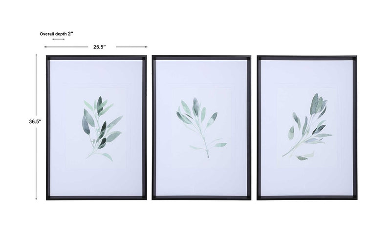 Sage Framed Prints S/3