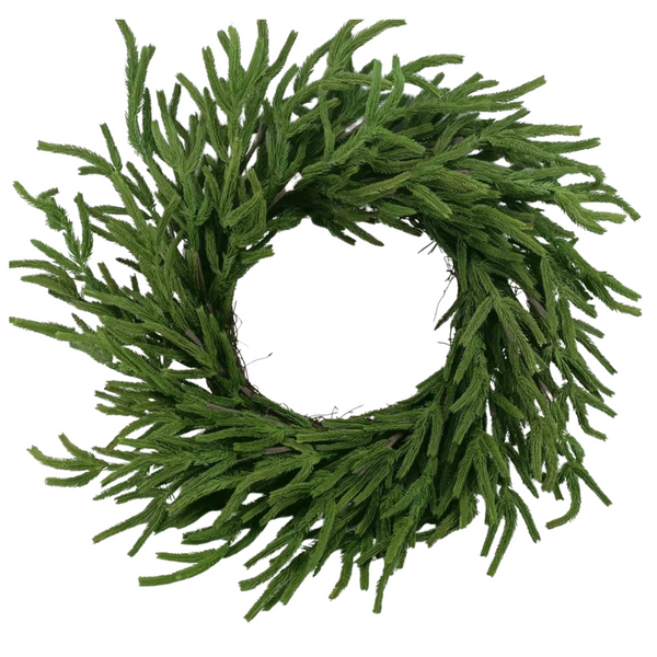 Norfolk Pine Wreath 24"