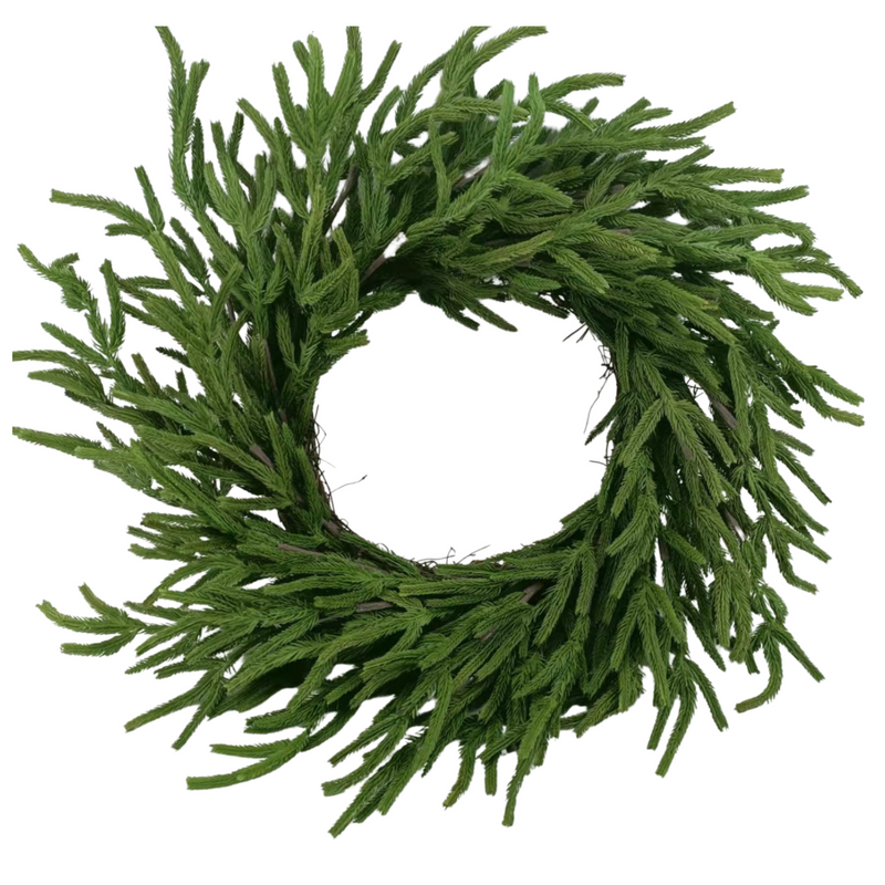 iDESIGN Soft Touch Norfolk Pine Wreath 24"