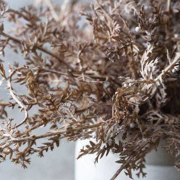 Senecio Cineraria in Pot - Rust - Artificial Plant