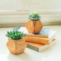 Faux Succulent
