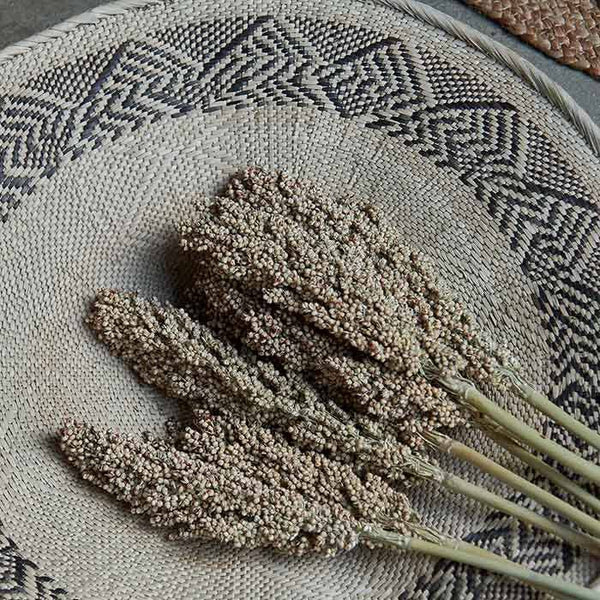 Sorghum Dried Stem - Coffee